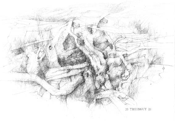 26 Treibgut 1.202